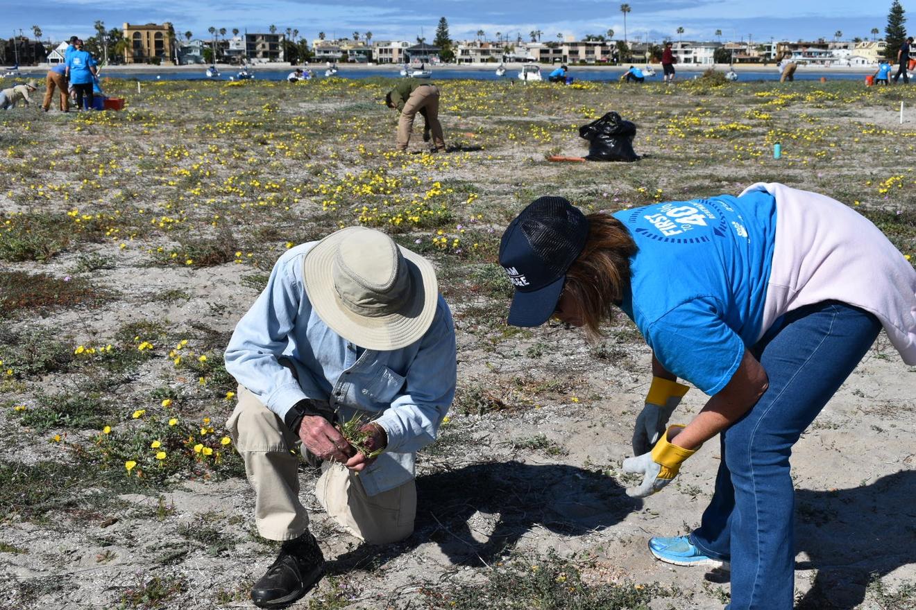 SDG&E All-Stars volunteer, cleaning Least Tern Habitat.