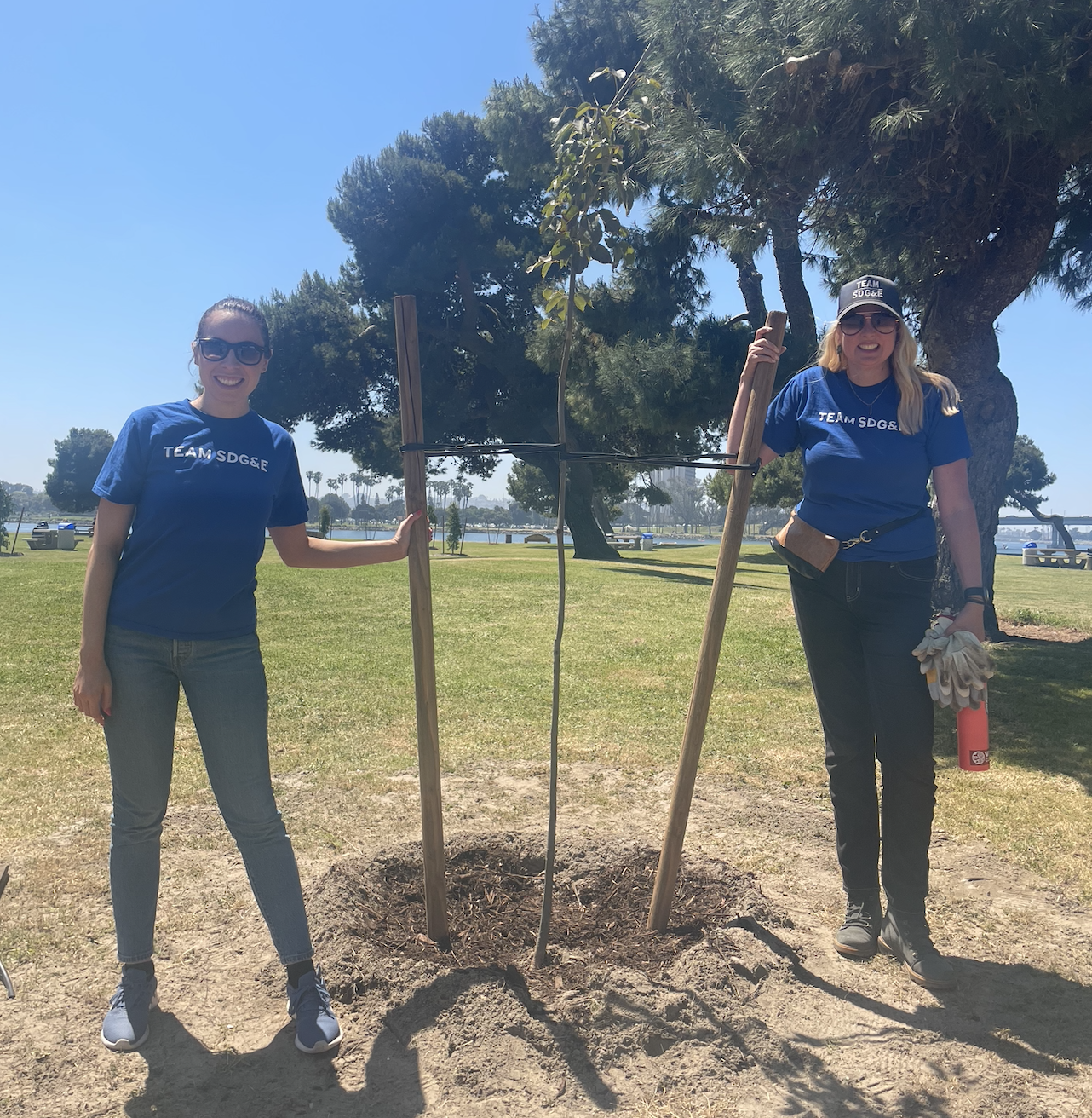 Celebrating Arbor Day Today and Year-Round