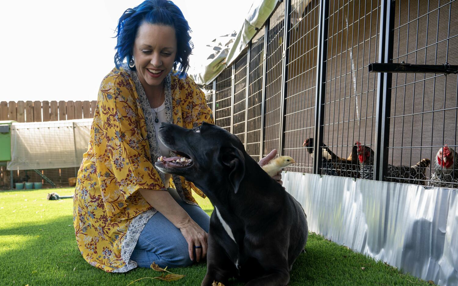 A woman with blue hair and a yellow, floral shirt pets a dog with a chicken coup in the background