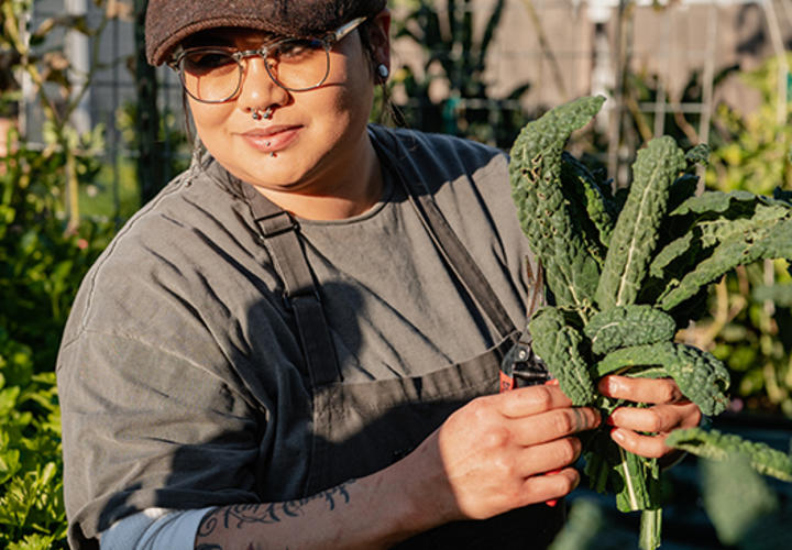 Chef picking greens from a sustaianble garden