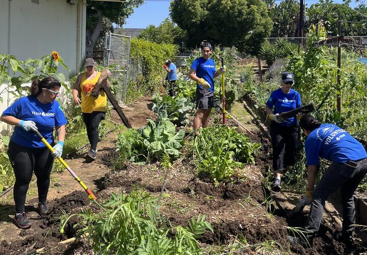 Volunteers in blue shirts participate in a Garden 31 project at a local high school.