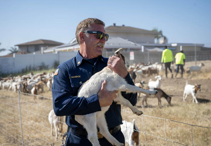 Chula Vista Fire Department Chief Chris Manroe holds a goat