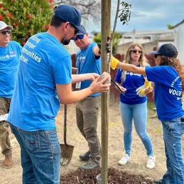 Employee volunteers wearing blue shirts plant a small tree. 