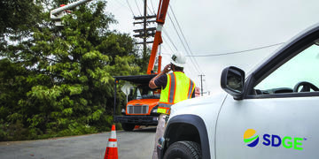 SDGE Tree Trimming