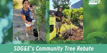 SDG&E’s Community Tree Rebate Program Takes Root with Customers