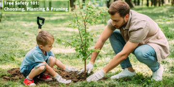 Tree Safety 101: Choosing, Planting and Pruning Without Disturbing Neighborhood Gas or Power Lines