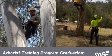 Arborist Training Program Graduation: The Future of Wildfire Safety Mitigation 