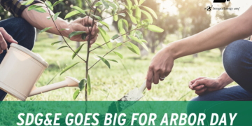 SDG&E Goes BIG for Arbor Day