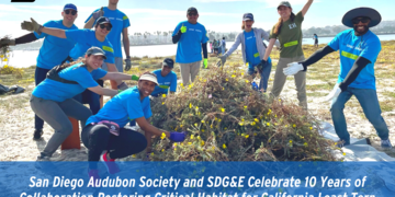 San Diego Audubon Society and SDG&E Celebrate 10 Years of Collaboration Restoring Critical Habitat for California Least Tern