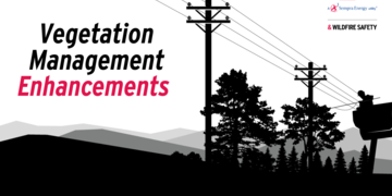 Vegetation Management Enhancements 