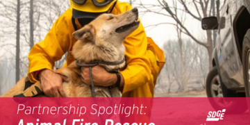 Partnership Spotlight: Animal Fire Rescue