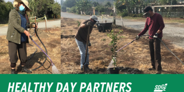 Healthy Day Partners Launches Fruit Tree Planting Program