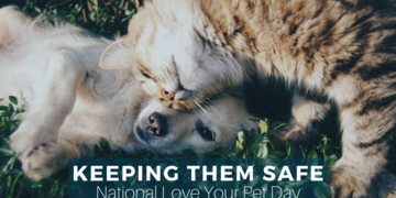 National Love Your Pets Day: 5 Steps to Plan for Your Pet’s Safety in an Emergency