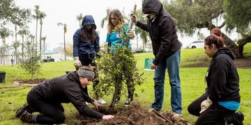 Tree planting at Balboa Park 