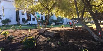 Balboa Park Arbor Week