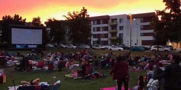 Movie in the Park