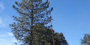 A helicopter setting a power pole in Ramona