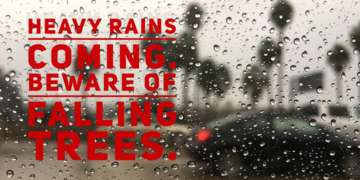 Rain falling on a street with car traffic and trees in the background