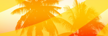 Graphic showing the tops of palm trees with orange, reds and yellow shading.
