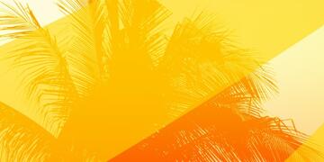 Graphic image of the top of a palm tree with yellow and various shades of orange