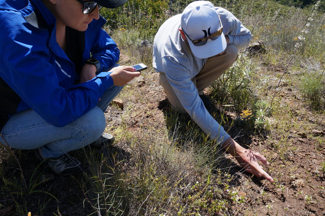 Environmental Preservation